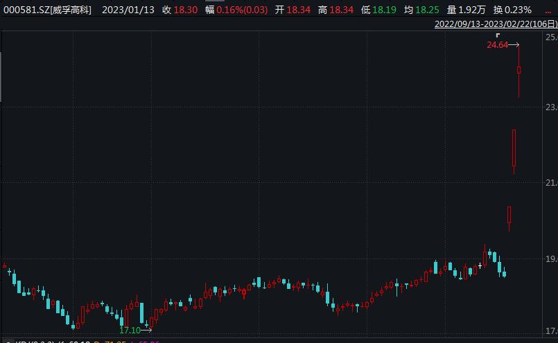 3天暴涨14倍的股,威孚高科涨停最新价值分析