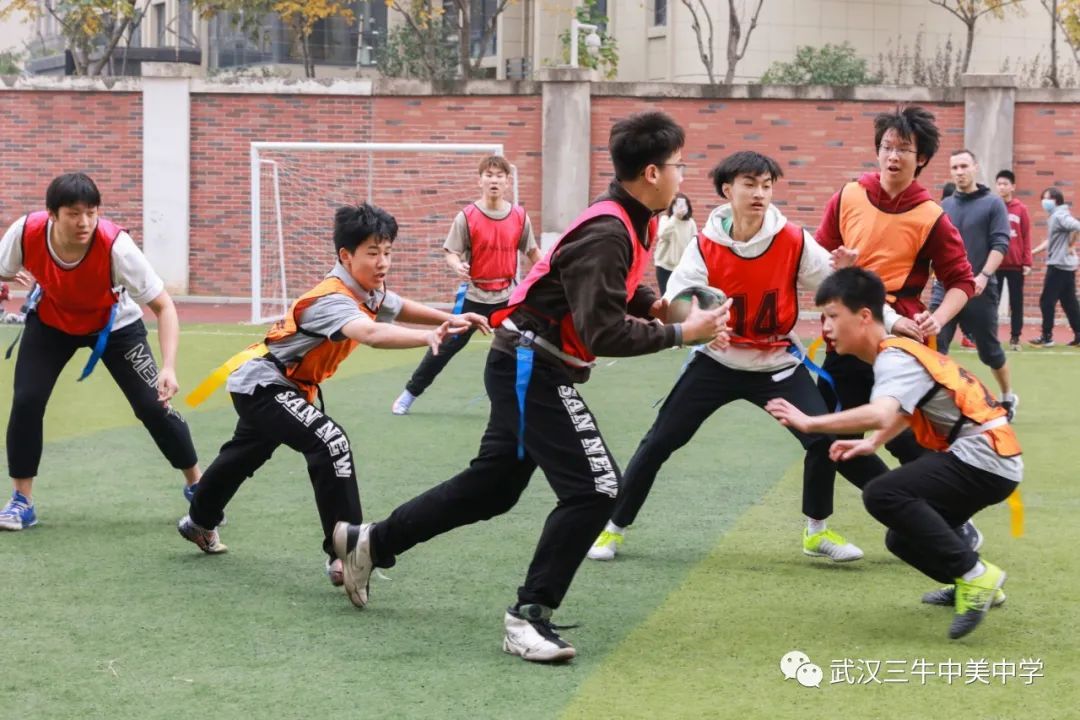 武汉三牛中美中学,武汉三牛中美中学排名及费用