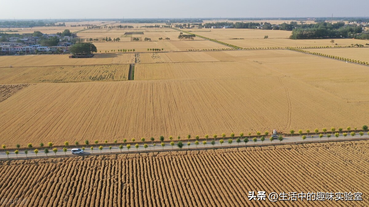 有谁敢说河南不好的，不服来辩！河南人真的很可以的
