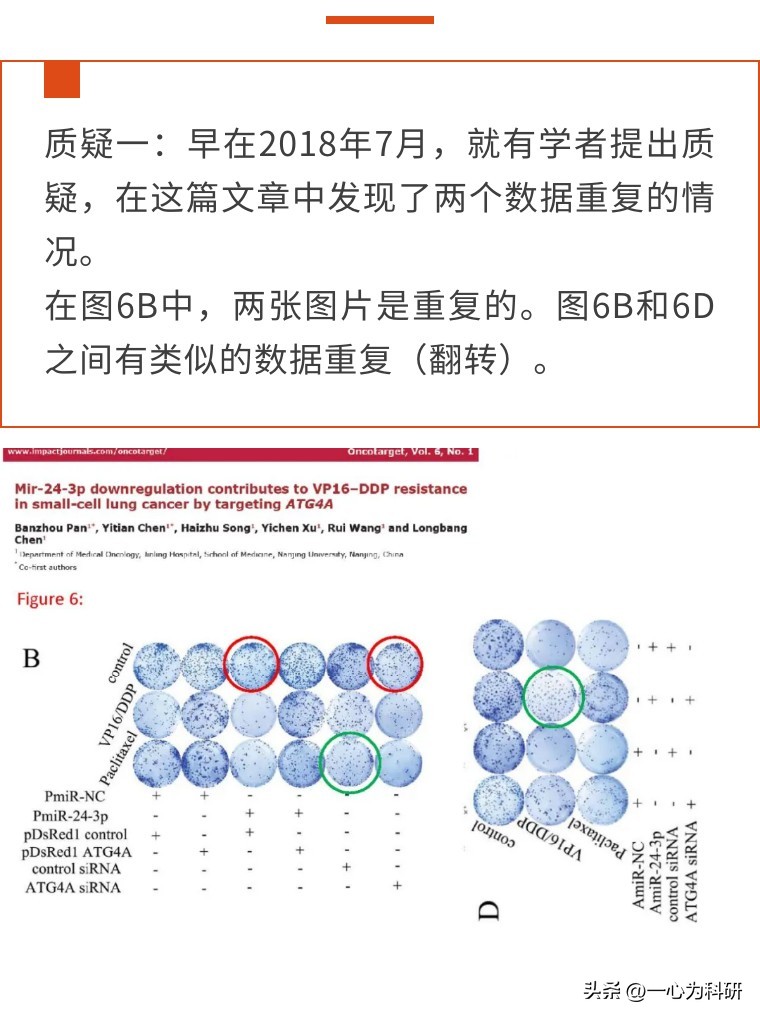 四年内质疑不断，*京大南**学医学院附属金陵医院的早期论文多图重复