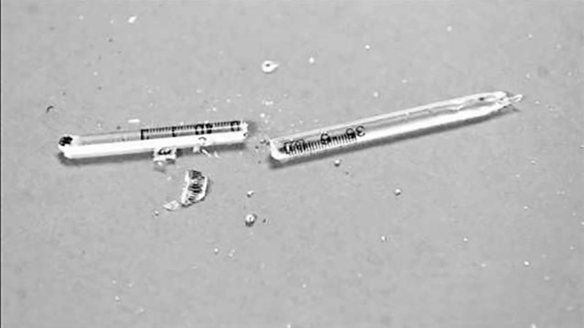 生吃蝌蚪有什么奇效,生吃蝌蚪有什么后果