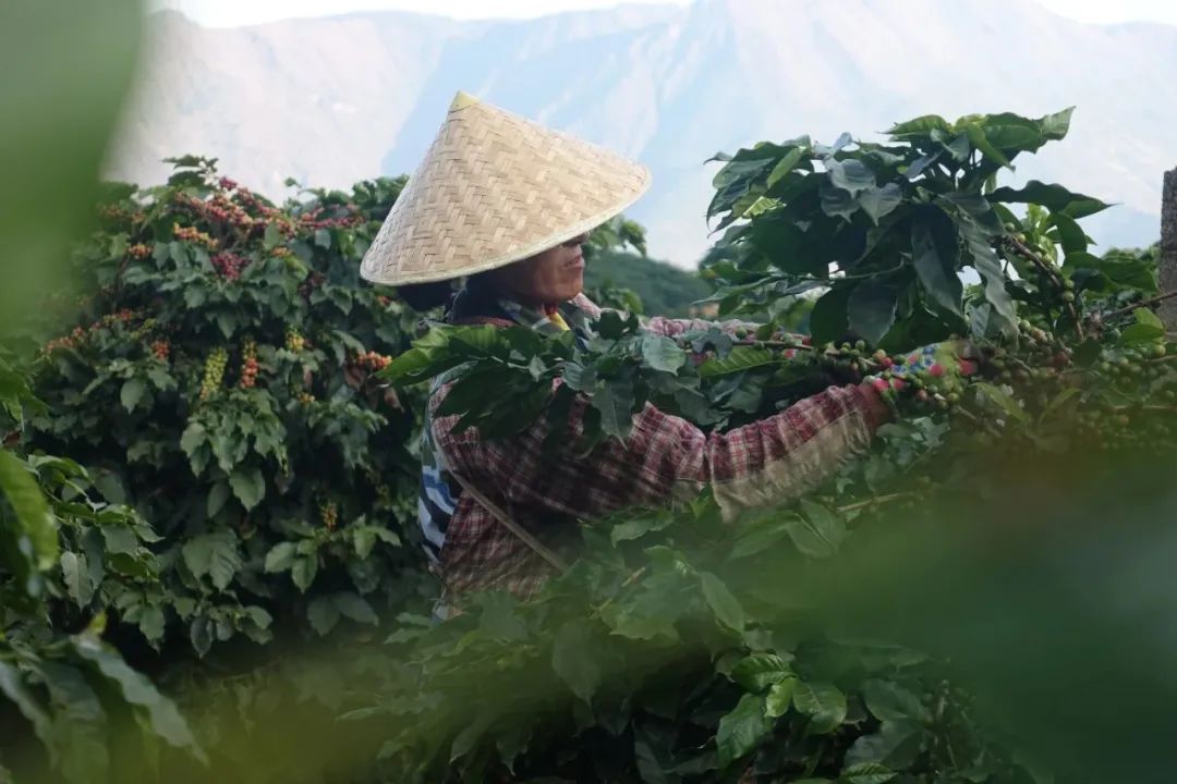 和他聊完，我决定去做一个数字游民|对话IC实验室联合创始人大温