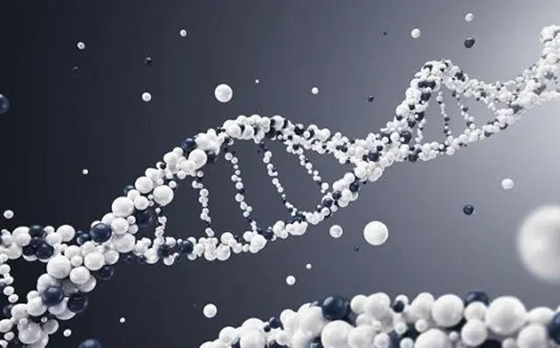 华人神探李昌钰真实案件,华人神探李昌钰侦破七年悬案