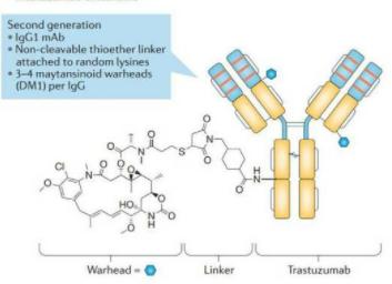 治疗食管癌的靶向药有哪些,食管癌可以靶向药治疗吗
