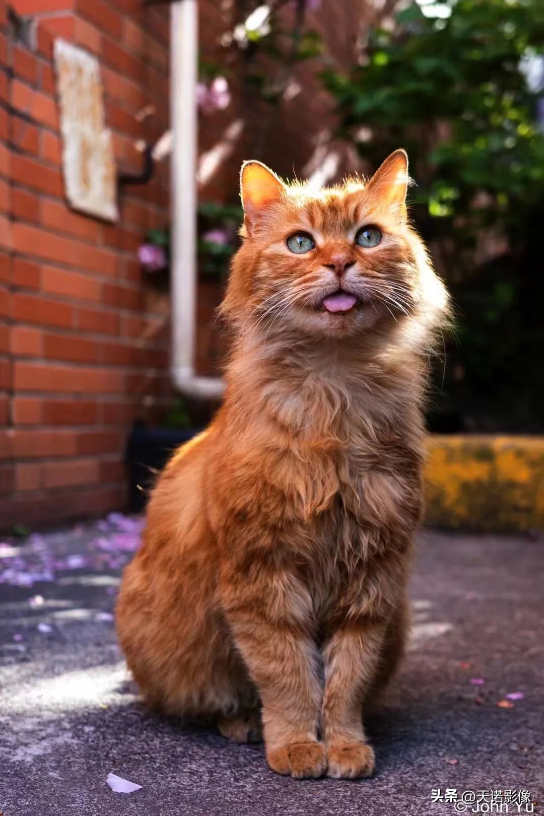 理光GRⅢGRⅢx为什么要双持?