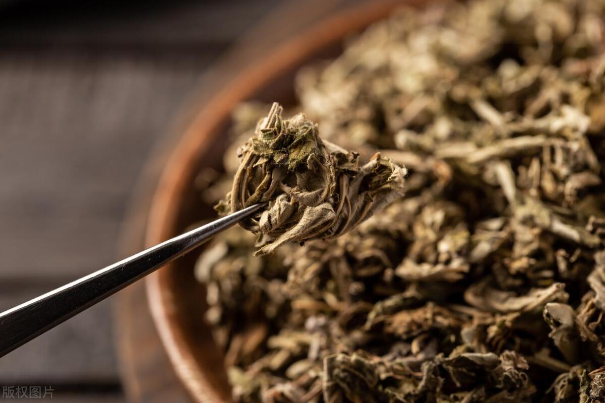 艾草驱蚊子最有效的方法,熏艾草防蚊子