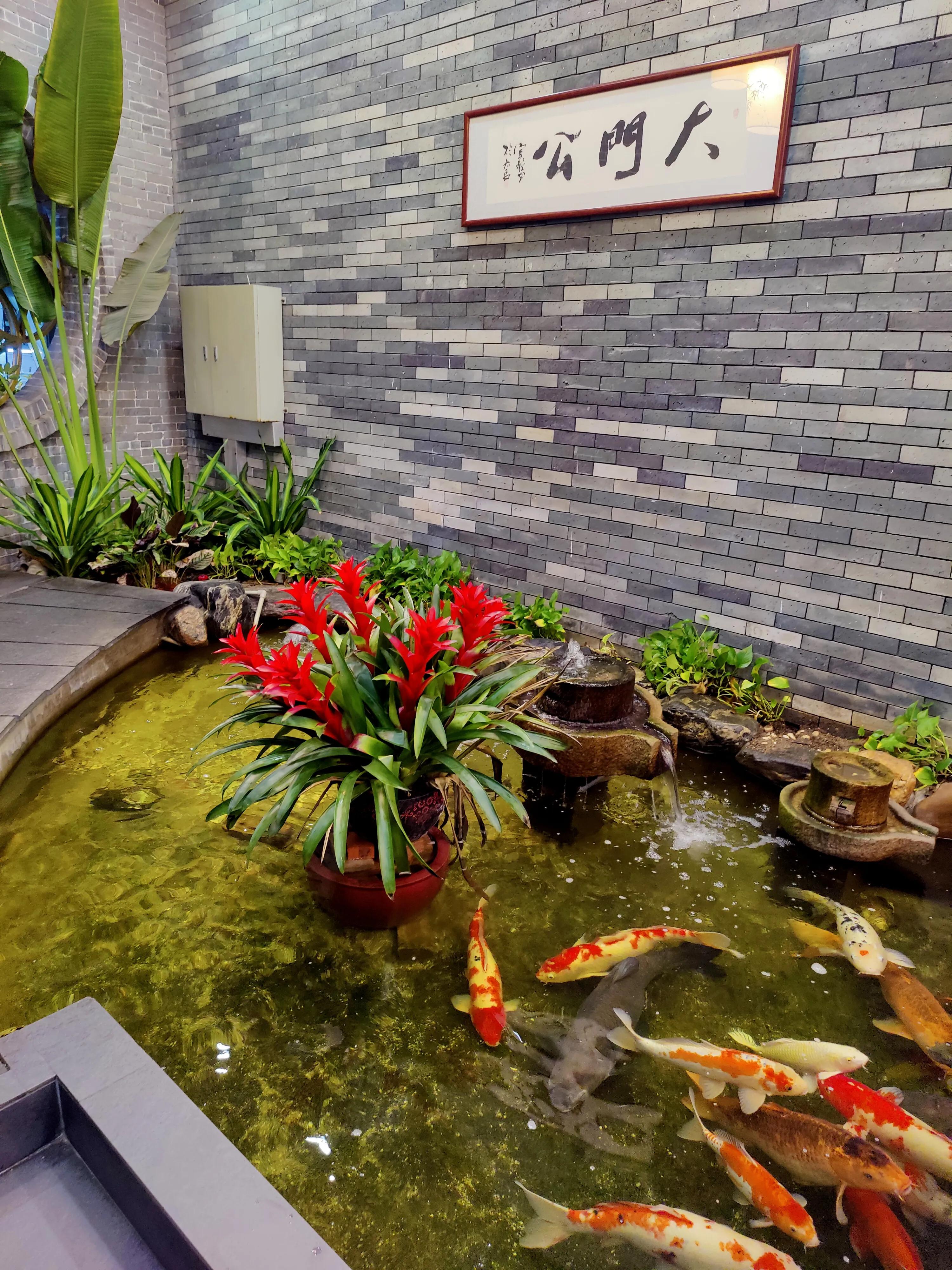 顺德杏坛农庄美食,世界美食之都顺德视频