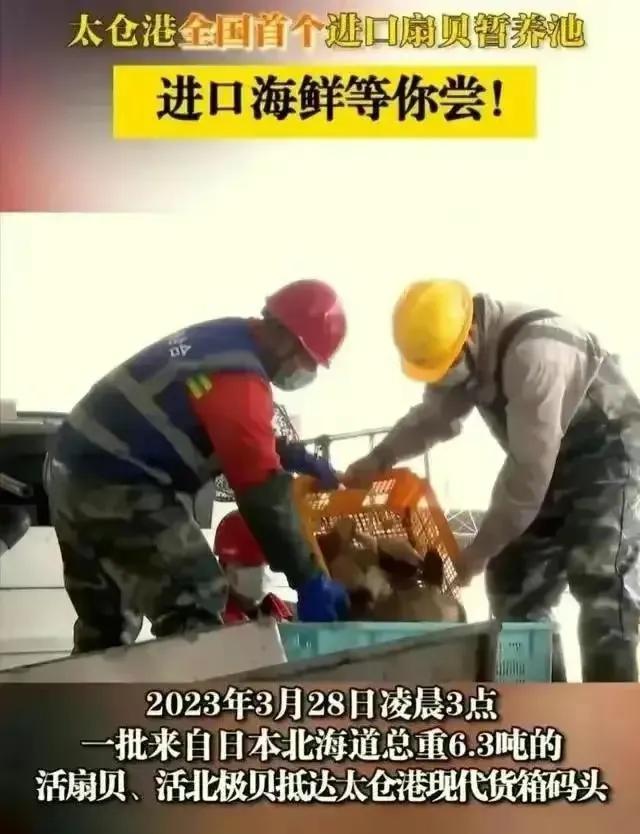 中国进口日本核污染产品,日本海水污染了中国海鲜还能吃吗