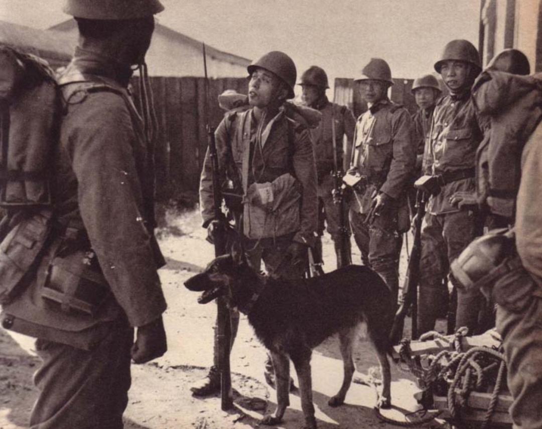 七七事变的抗战老照片,老照片日军镜头下的七七事变