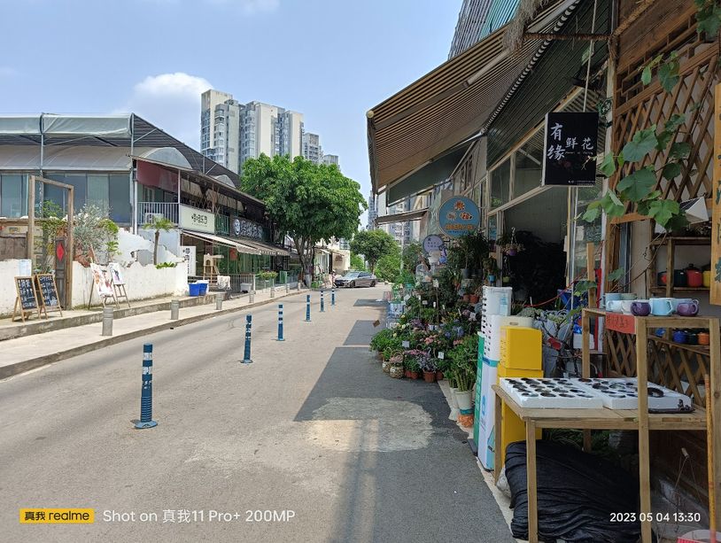 realme真我11pro拍照变焦,realme真我11pro拍照测评