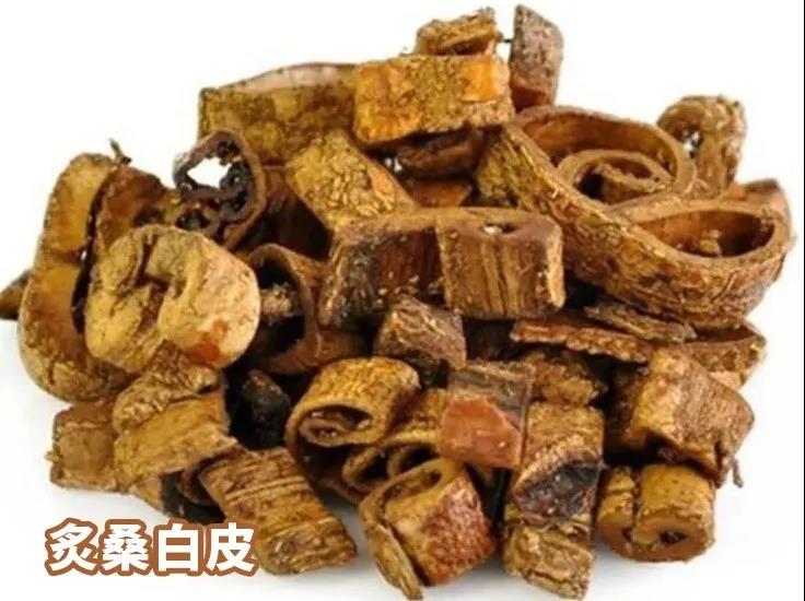 每日一味药桑白皮,与桑白皮有关的中药配方