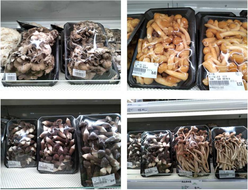 这些菌类你认识几种,这些食用菌之最你都知道吗