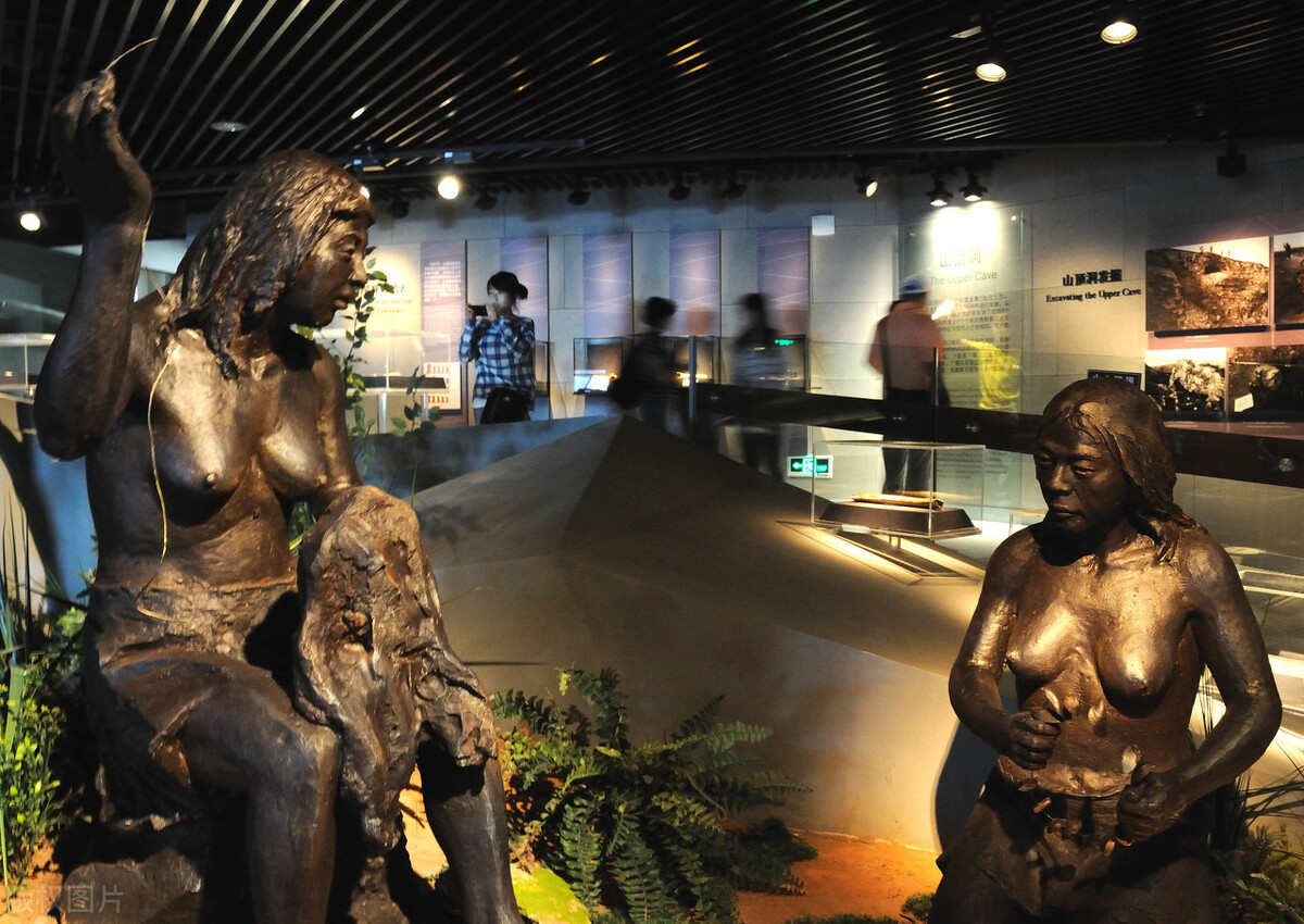 发掘出第一个北京人的头盖骨化石,谁发现第一个北京猿人头盖骨化石