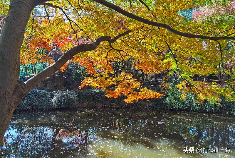 嘉定老城有哪些玩的地方,嘉定郊区游玩好去处