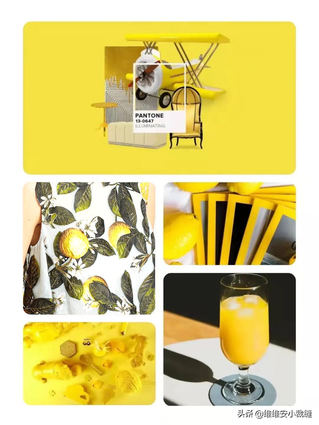 为什么她们都爱柠檬色？从梅根到第一夫人，凭同款撞衫登上热搜