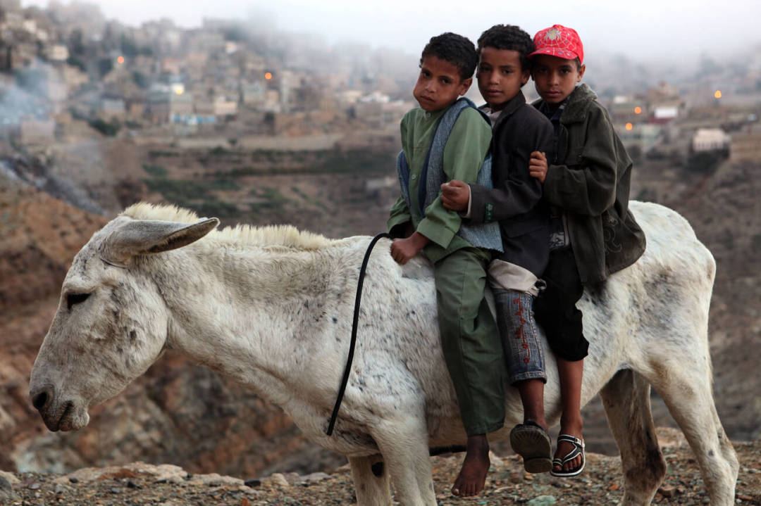 好好的一个国家，就这么被*品毒**榨干了