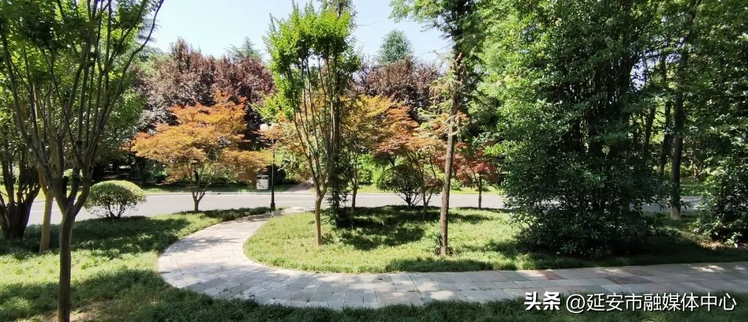 陕西宾馆迎来最佳观花赏景季节,陕西宾馆内景色