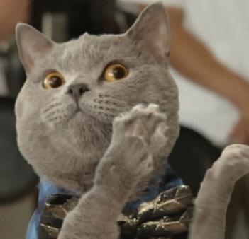 手机和电脑应该怎么选择,电脑和手机应该怎么选择