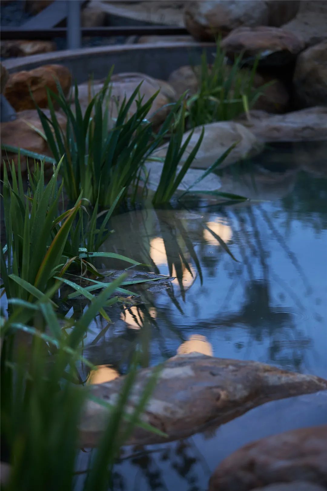 元亩塘公园景观设计,高端公园绿化景观设计