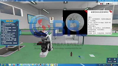 模拟化学实验小程序,有没有软件可以模拟化学实验操作