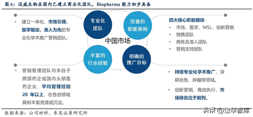 有效避开内卷，迈威生物：ADC锋芒初显，快速成长的Biopharma