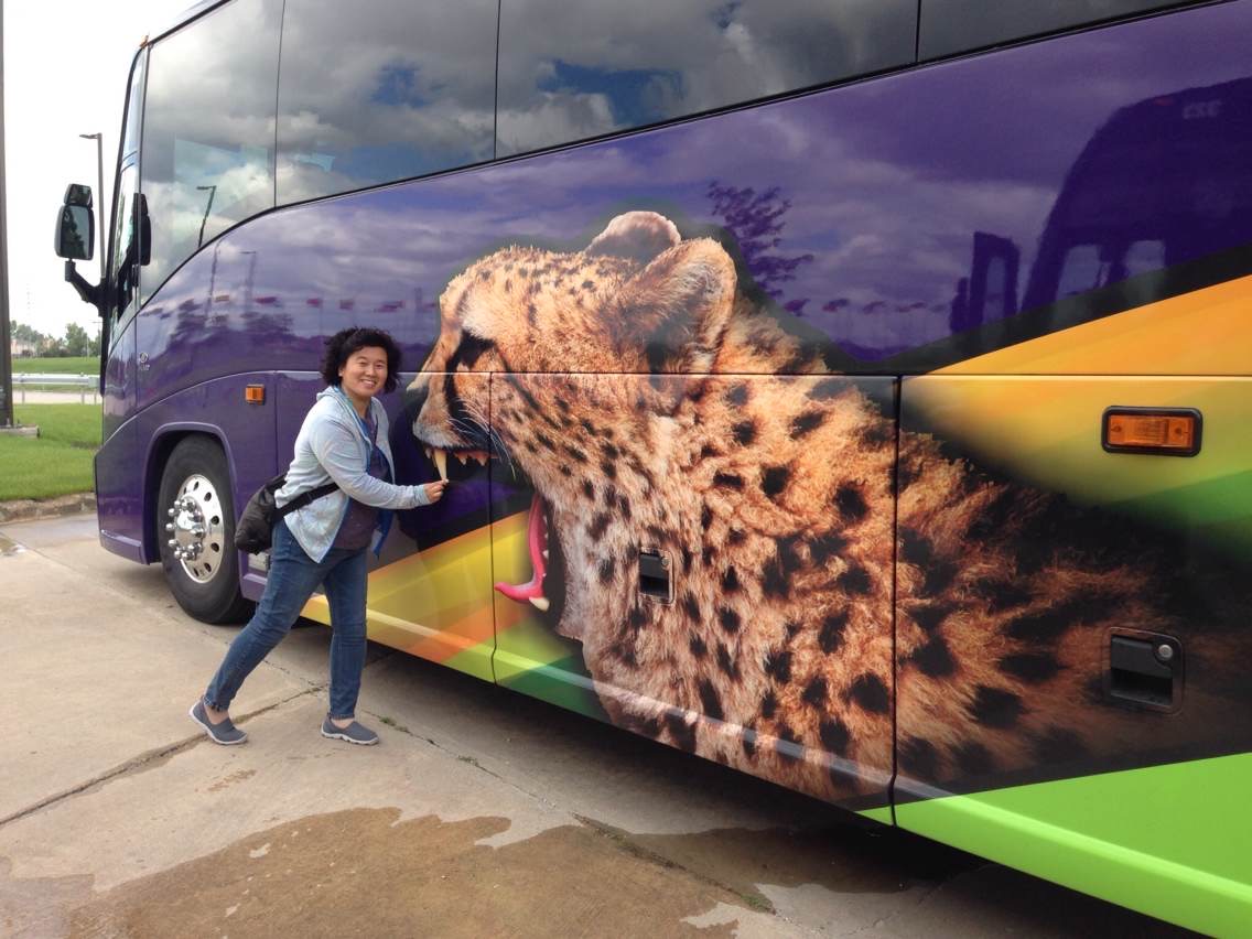 多伦多猴哥园丁视频最新一期,多伦多园丁猴嫂最新视频