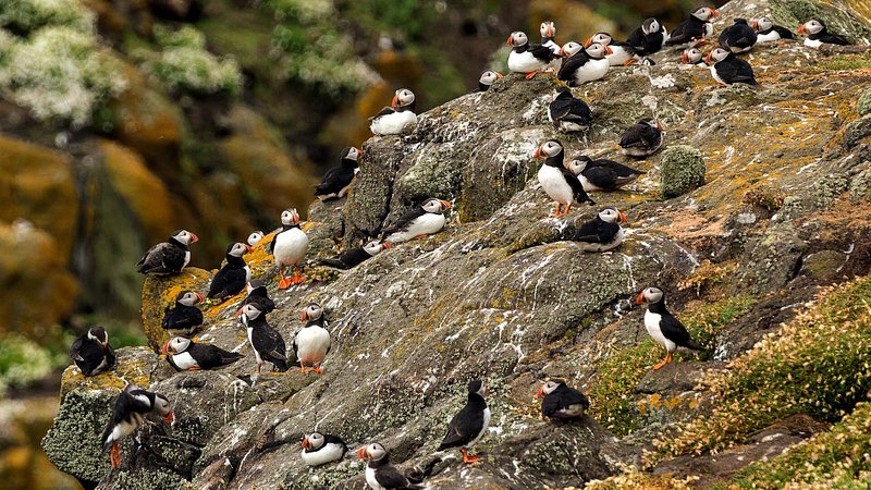 英国沿海小镇,英国十个绝美小镇