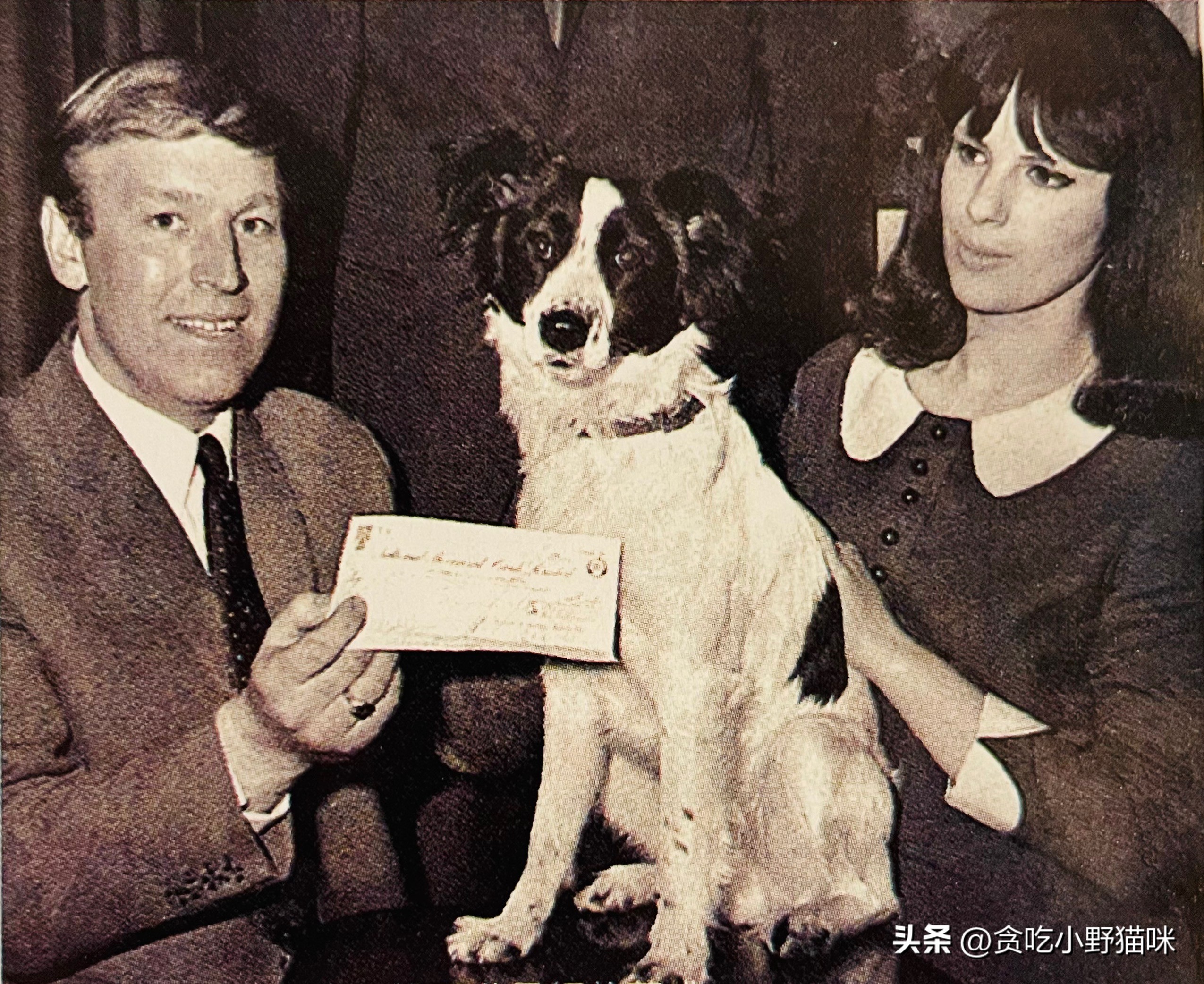 世界足坛丑闻大事件,世界足坛反腐名场面