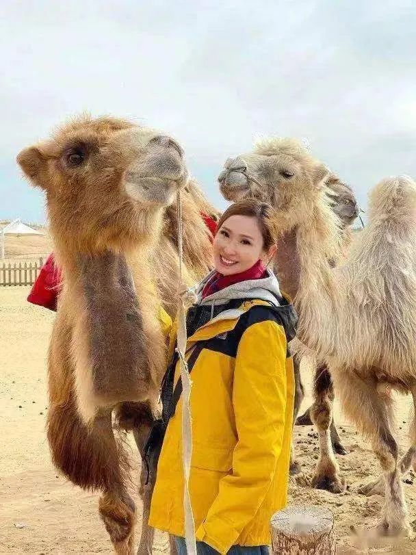 璞棬鍗冮噾姝ｇ‘鎵撳紑鏂瑰紡,璞棬鍗冮噾姝ｇ‘鍑哄満鏂瑰紡