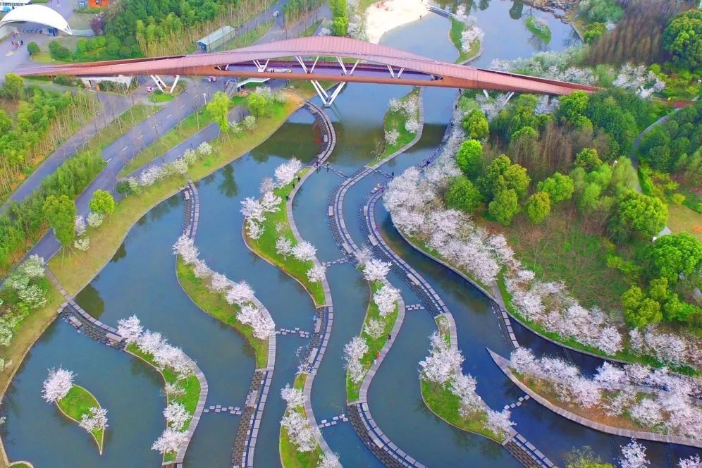 近乡情怯，归来仍是少年！