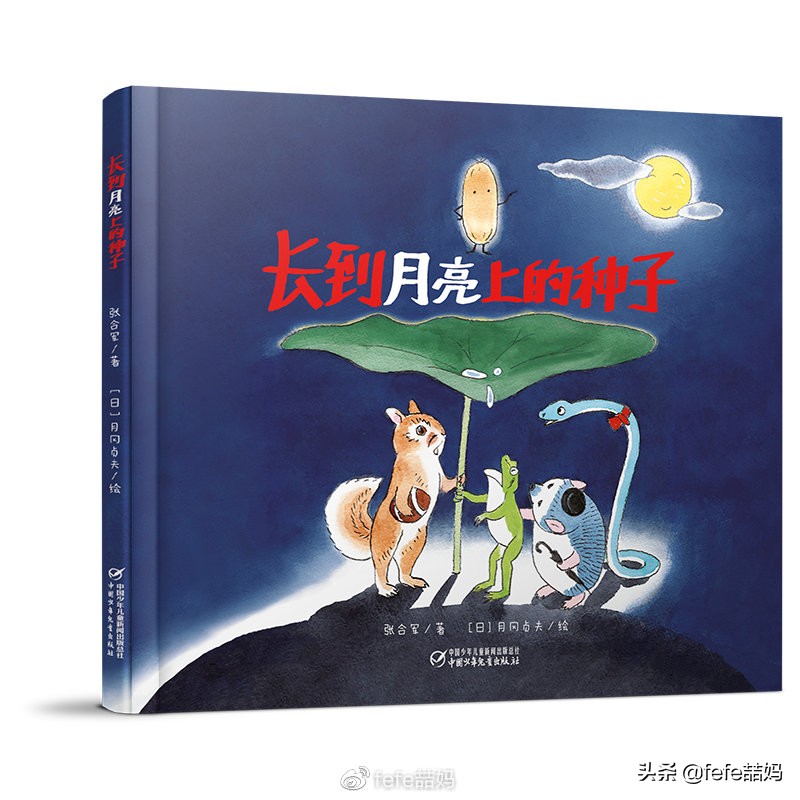 关于小动物的书推荐,好书推荐动物书单