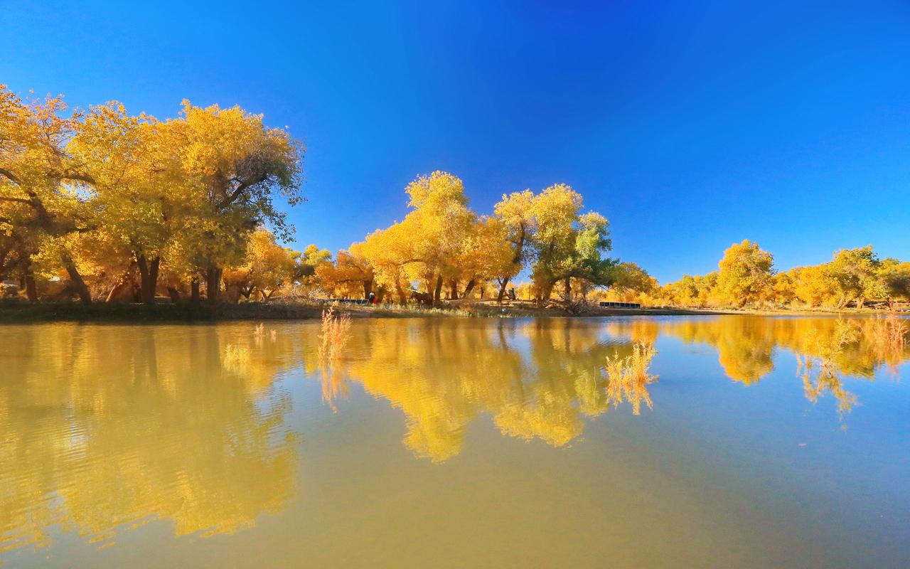 爱欲的“爱”字背后,为什么要和“欲”字相连?