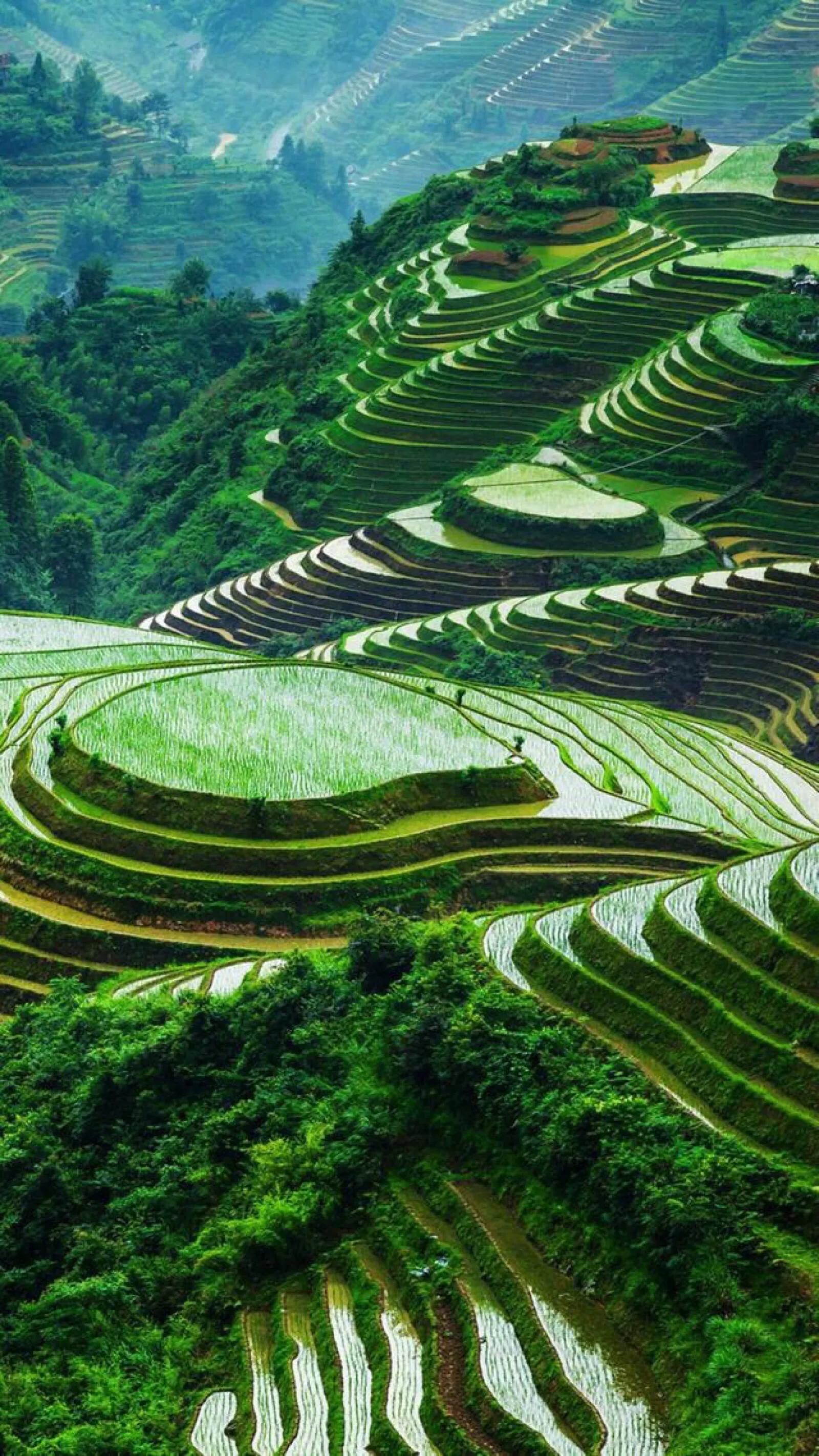 描写乡村田园风景的诗有哪些,关于描写山水田园风光的诗词短句