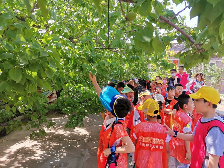 助力乡村振兴暑假研学实践活动,考察农耕田园研学基地目的