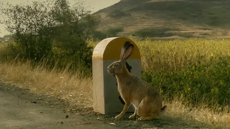 调音师电影艺术表现手法,印度电影调音师叙事分析