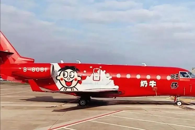 旺旺被误伤,旺旺遭人半夜攻击