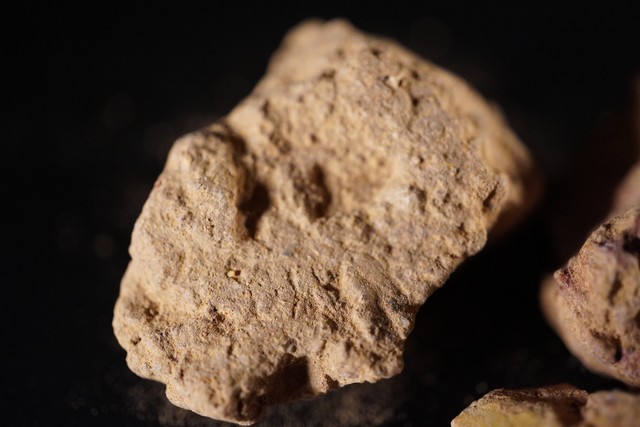 中药学敛肺涩肠药的功效,收涩效果最好的中药