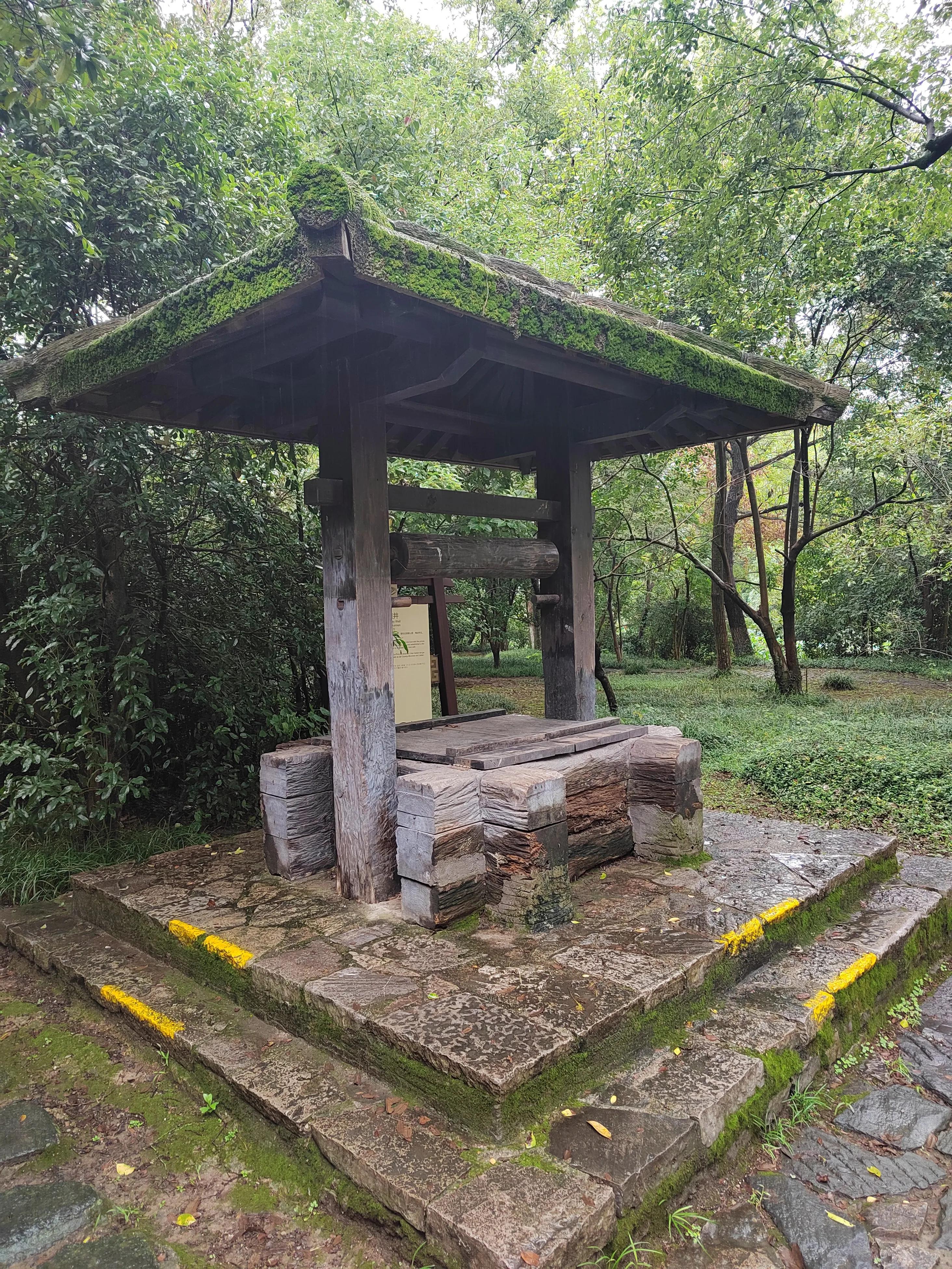 淹城是哪个省市,淹城动物园旅游攻略