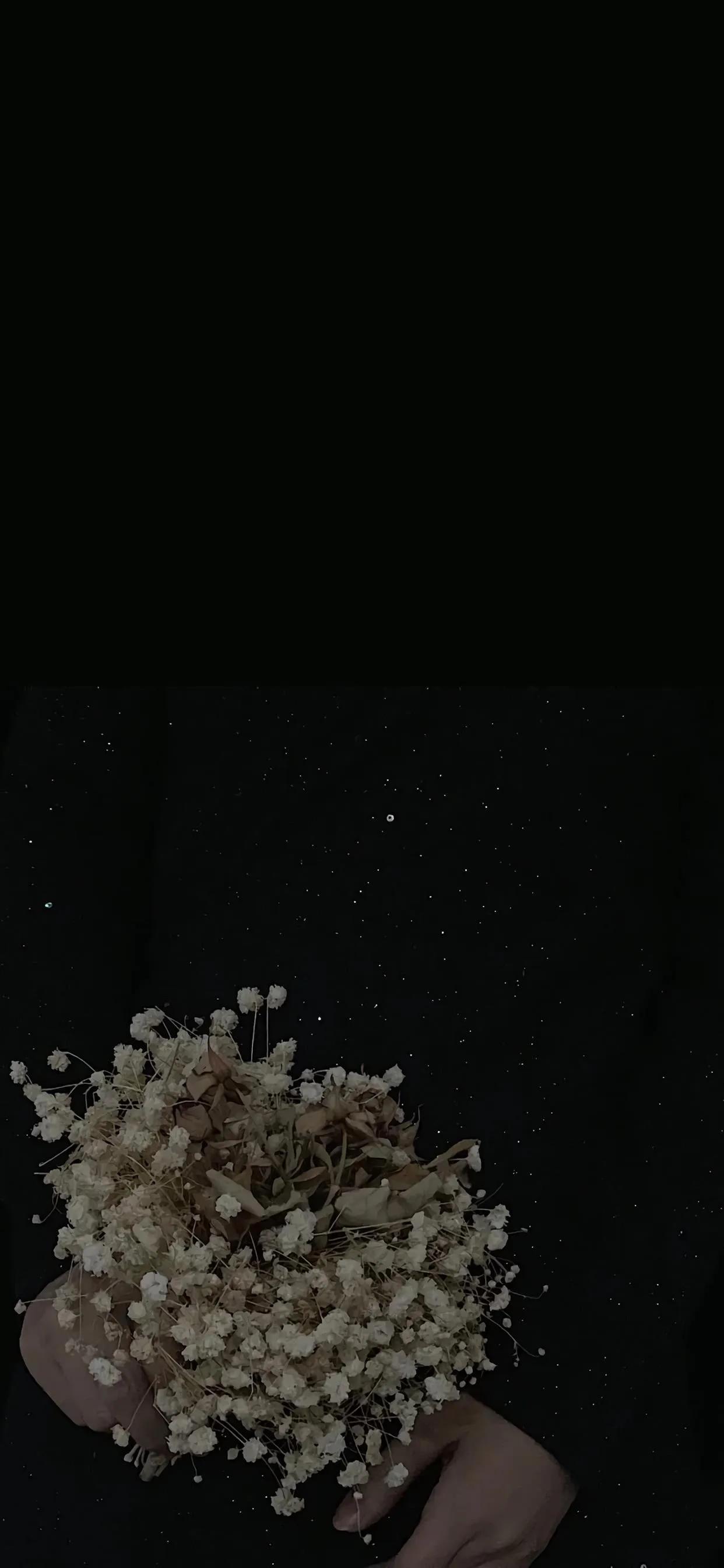 健身顶级黑色壁纸超清无水印,无水印高清壁纸全面屏黑色