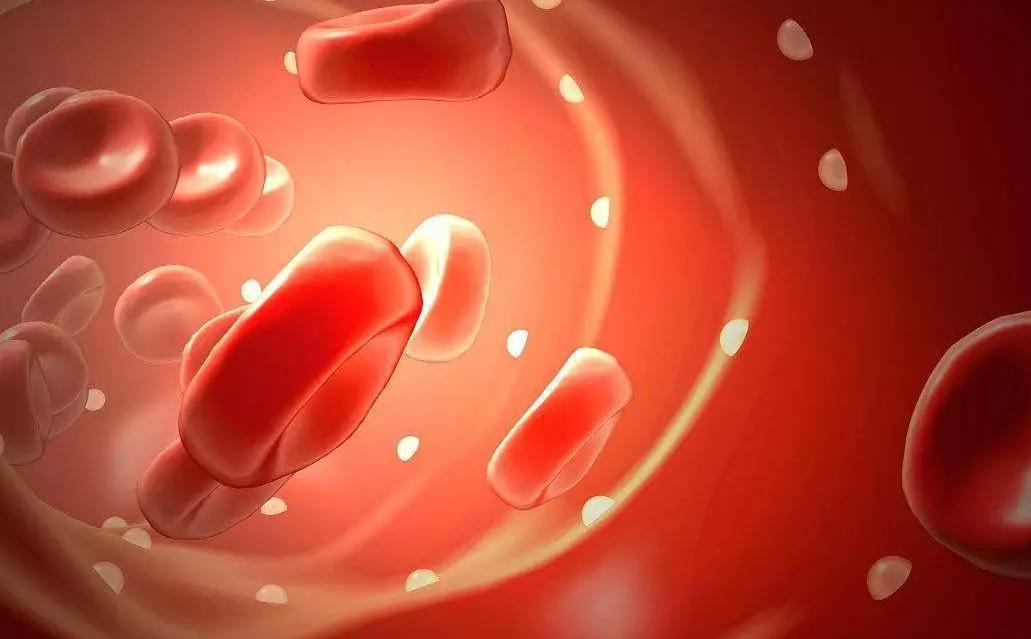 红酒泡洋葱能软化血管吗,红酒泡洋葱能否软化血管