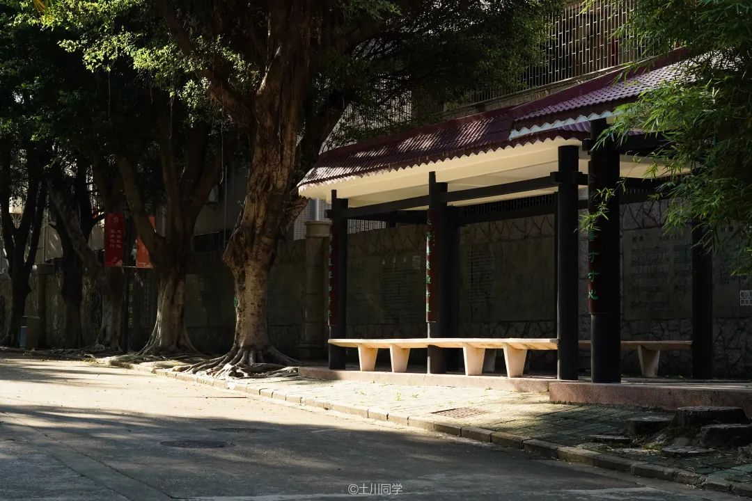 回忆石岩公学,石岩公学5年级