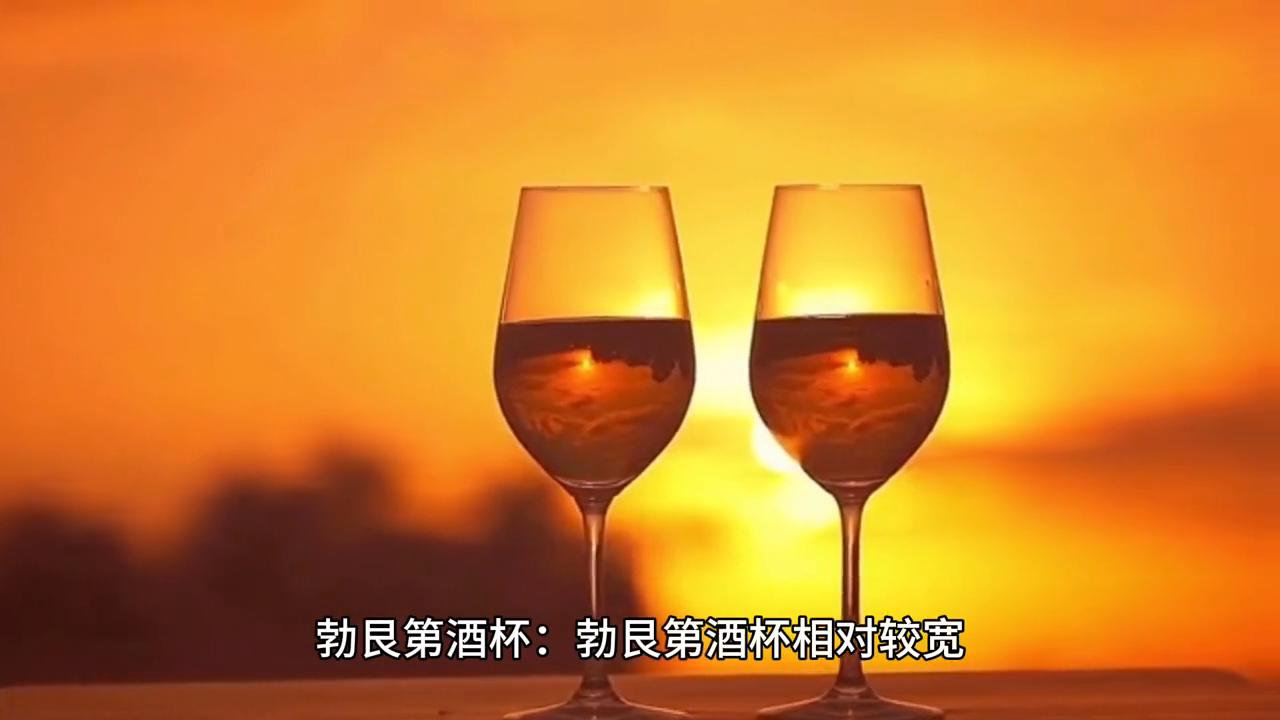 红酒的文化知识大全,葡萄酒酒杯的分类及选择
