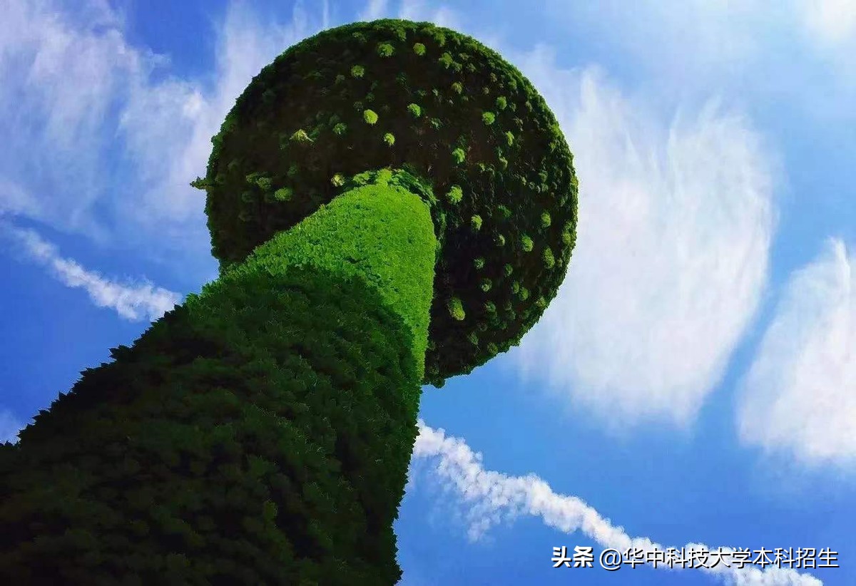 华中科技大学“专属五福”来了！5张“虎年福卡”正在派送，见者有份！