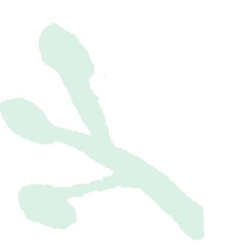 乡村振兴汶川县,我眼中的乡村振兴创业青年