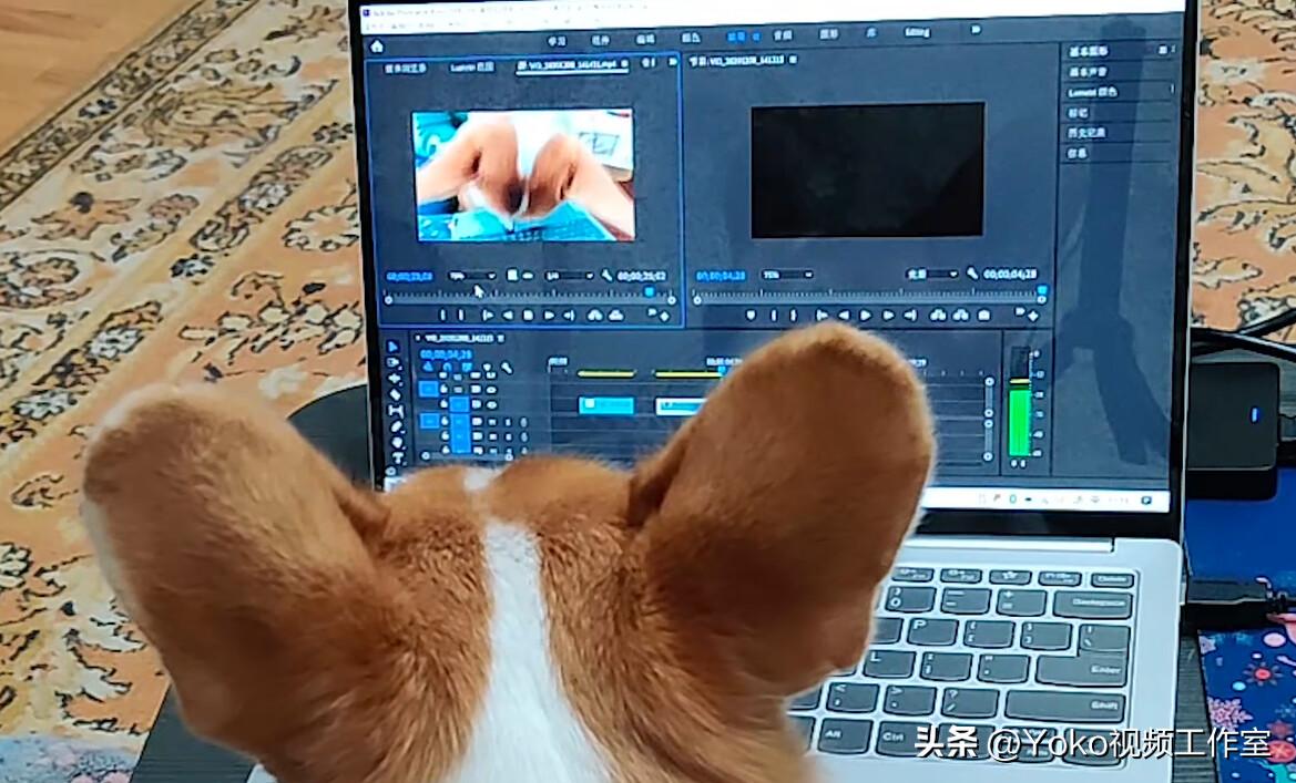 电脑的误区有哪些,对电脑认识的五个误区