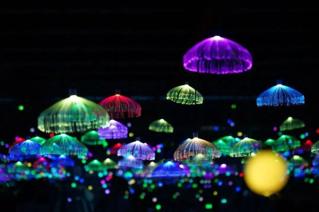 香草伊甸园景区最佳花开期,转发此文