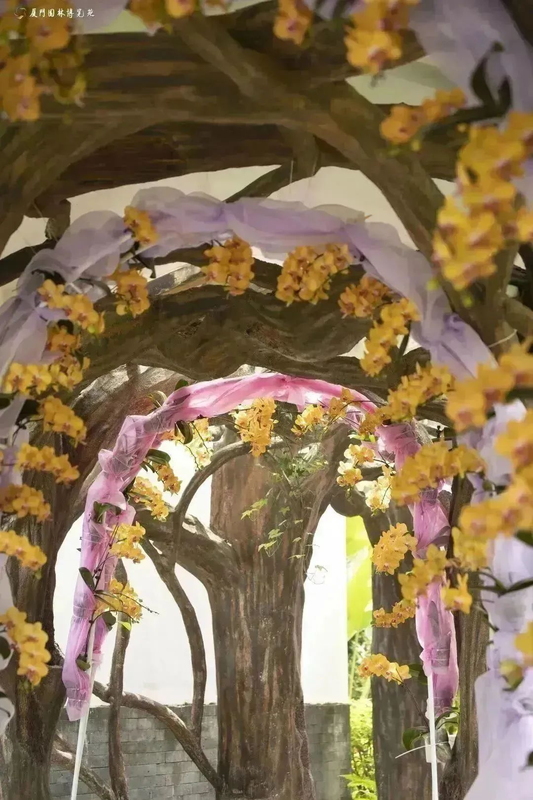 厦门夏天出去可以这么玩,厦门春季休闲生活之旅