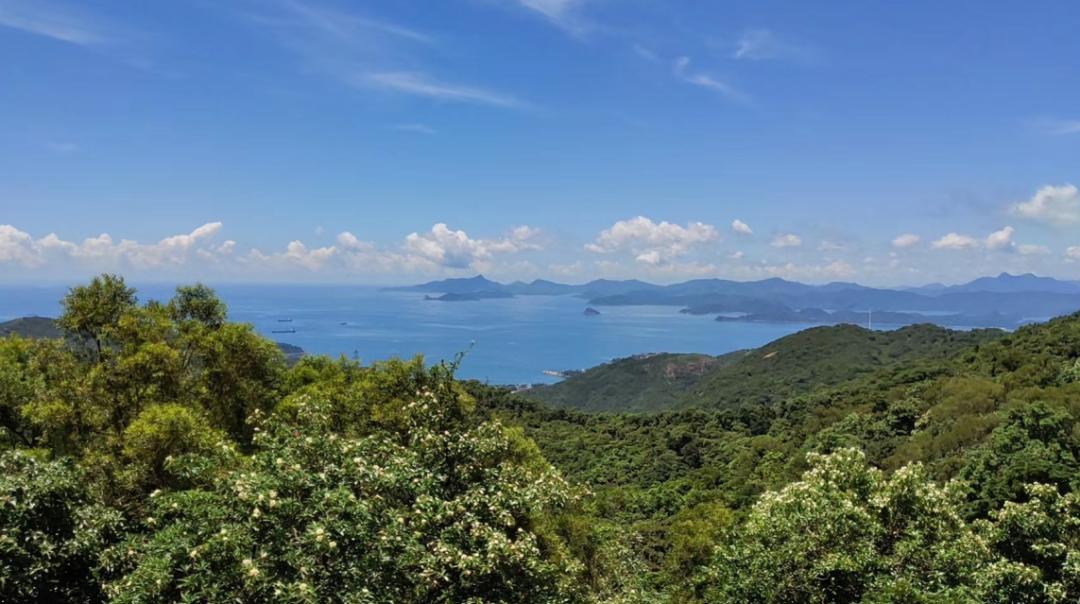 坪山深业山水楼盘信息,坪山深业山水东城96平