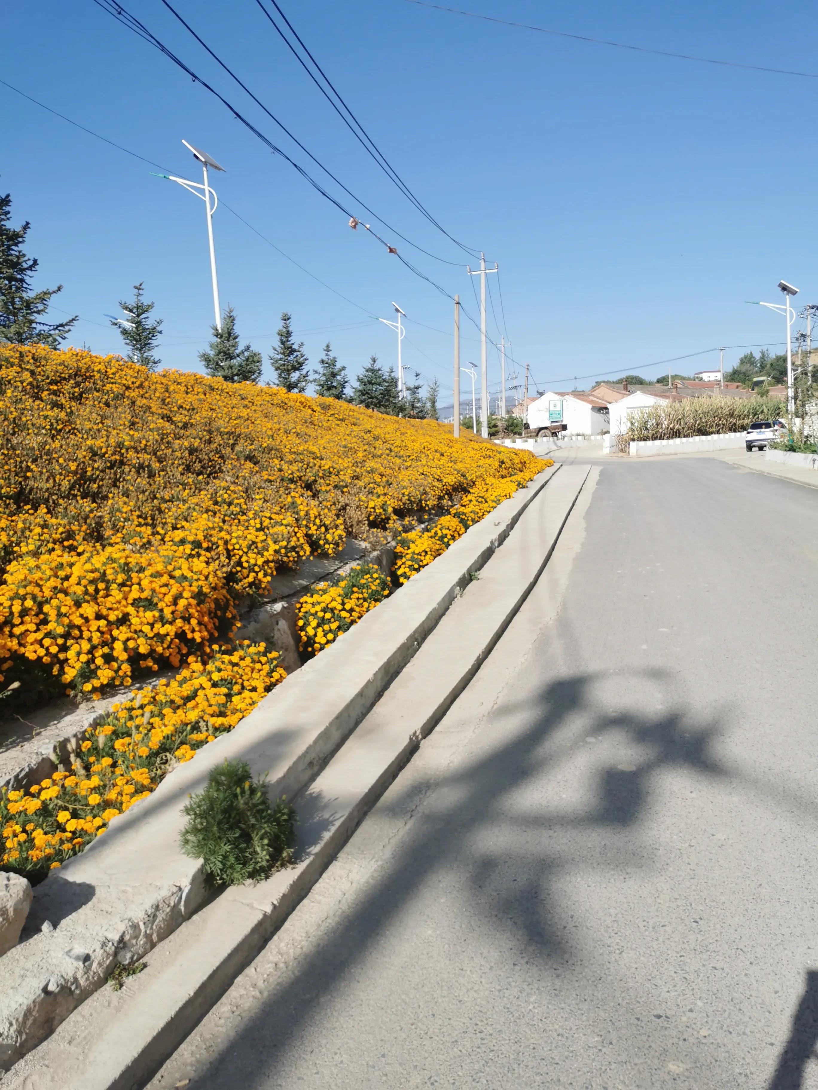 寮犲鍙ｅ競瀹ｅ寲鍘挎潕澶т汉搴勬潃浜烘,瀹ｅ寲鏉庡ぇ浜哄簞鍦板悕鏉ュ巻
