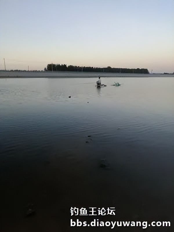 疯杀果香鲫，连竿上大翘